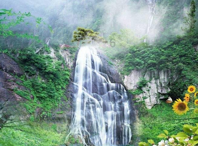 氪金借势| 7天狂赚20W+,”混圈大佬”私域流量杠杆玩法